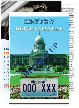 1212 Texas Family Code. . Kentucky cps handbook